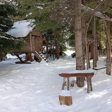 "Моето Любимо Място", Смолянски Езера - "My Favorite Place", Smolyan Lakes Kültér fotó